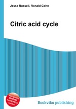 Citric acid cycle