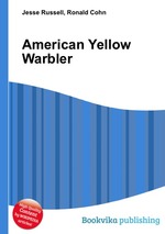 American Yellow Warbler