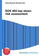 SOX 404 top–down risk assessment