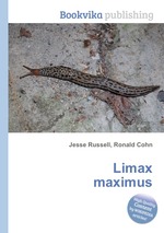 Limax maximus