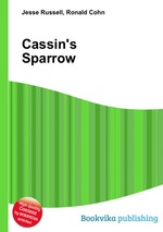 Cassin`s Sparrow