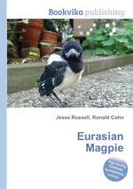 Eurasian Magpie