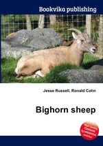 Bighorn sheep