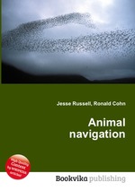 Animal navigation