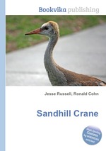 Sandhill Crane