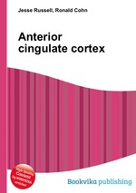 Anterior cingulate cortex