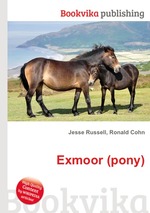 Exmoor (pony)