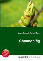 Common fig