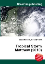 Tropical Storm Matthew (2010)