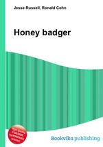 Honey badger