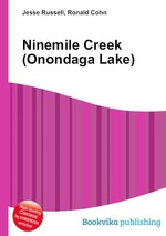 Ninemile Creek (Onondaga Lake)