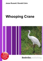 Whooping Crane