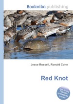 Red Knot