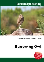 Burrowing Owl