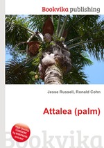 Attalea (palm)