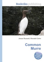 Common Murre