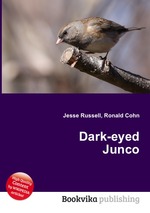 Dark-eyed Junco