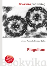 Flagellum