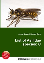 List of Asilidae species: C