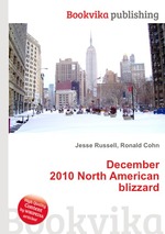 December 2010 North American blizzard