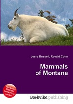 Mammals of Montana