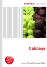 Cabbage