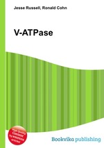 V-ATPase