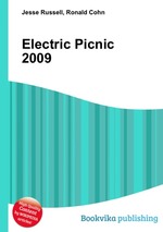 Electric Picnic 2009