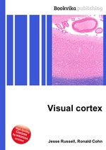 Visual cortex