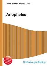 Anopheles