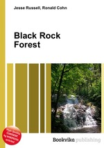 Black Rock Forest