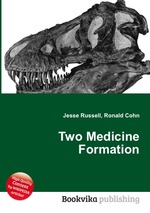 Two Medicine Formation