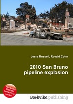 2010 San Bruno pipeline explosion