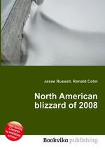 North American blizzard of 2008