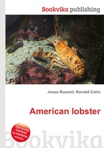 American lobster