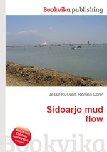 Sidoarjo mud flow
