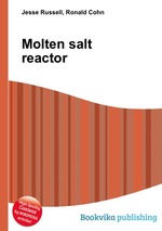 Molten salt reactor