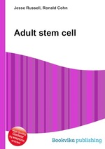 Adult stem cell