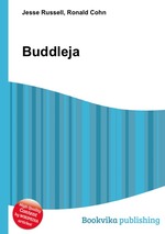 Buddleja