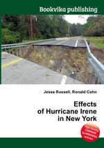 Effects of Hurricane Irene in New York