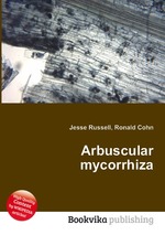 Arbuscular mycorrhiza