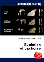 Evolution of the horse