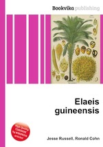 Elaeis guineensis