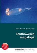 Teuthowenia megalops
