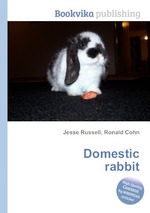 Domestic rabbit