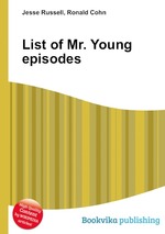 List of Mr. Young episodes