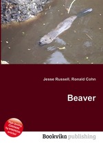 Beaver