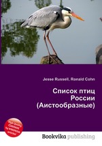 Список птиц России (Аистообразные)