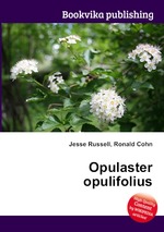 Opulaster opulifolius