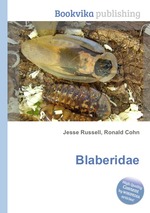 Blaberidae